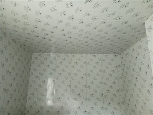 1642325877648376.jpg